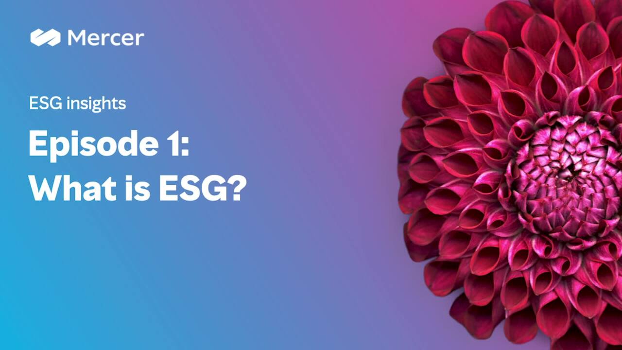 ESG insights episode 1